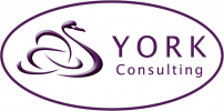 York Consulting